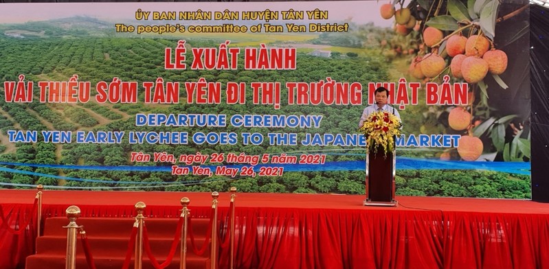 Bắc Giang: Vải thiều ''Sạch – Không bị tác động của dịch Covid-19''